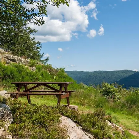 Nature Avec Vue Sur Les Montagnes *